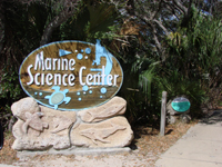 Marine Science Center,Ponce Inlet, Florida