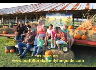 Conners A-maize-ing Acres, Corn Maze, country games, cow train, pumpkin patch