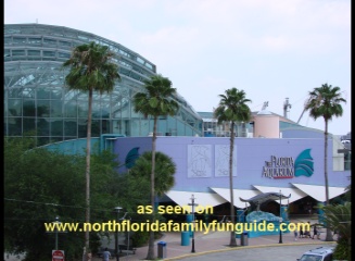 Florida Aquarium - Tampa, Florida