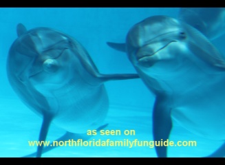 Gulfarium - Fort Walton Beach, Florida Gulfarium - Fort Walton Beach, Florida