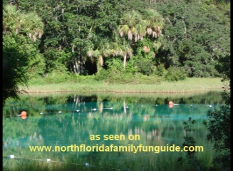 Rainbow Springs - Dunnellon, Florida