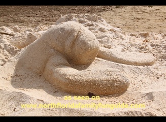 Sand Manatee, Orange City Blue Spring Manatee Festival