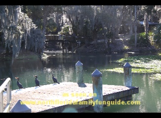 Four Townes Rotary RiverFest, Gemini Springs Park,  DeBary, Florida