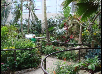 Butterfly Rainforest, Gainesville, Florida