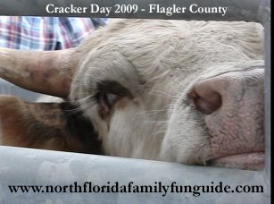Cracker Day - Bunnell, Florida