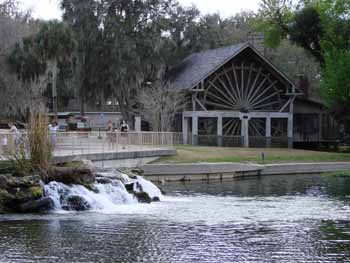 deleon springs, park, springs, swimming, florida