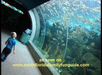 Florida Marine Aquariums