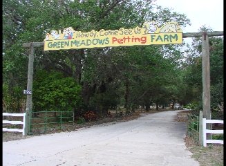 Green Meadows petting Farm, kissimmee