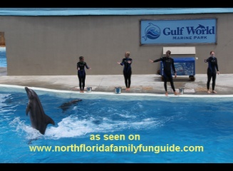 Gulf World Marine Park - Panama City, Florida