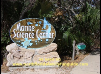 marine science center, ponce inlet, florida