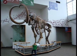 Florida Museum of Natural History, Gainesville