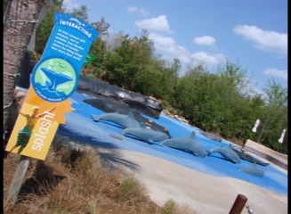 Splash Park at the Jacksonville Zoo