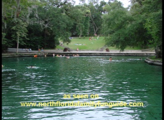 Wekiwa Springs - Apopka, Florida